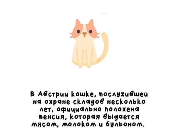 Короткие интересные факты обо всём