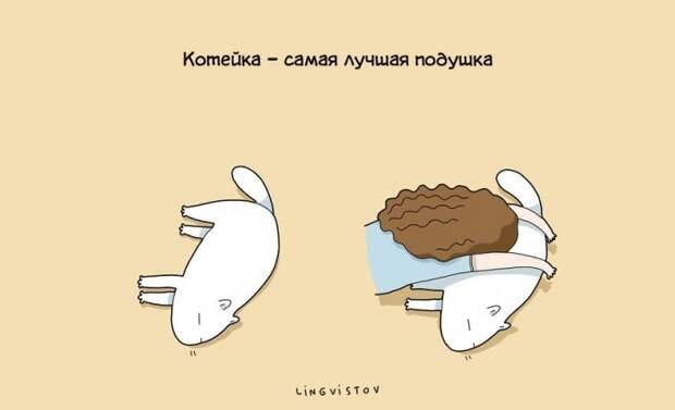 Преимущества жизни с котом