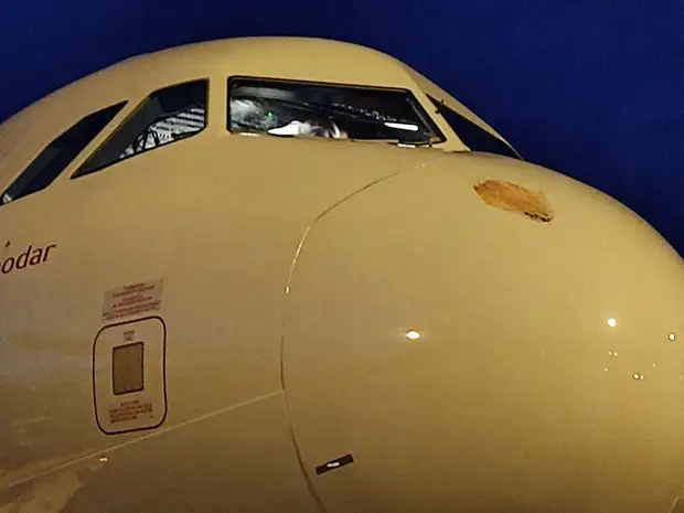 В Перми прокуратура организовала проверку по факту столкновения самолета с птицей