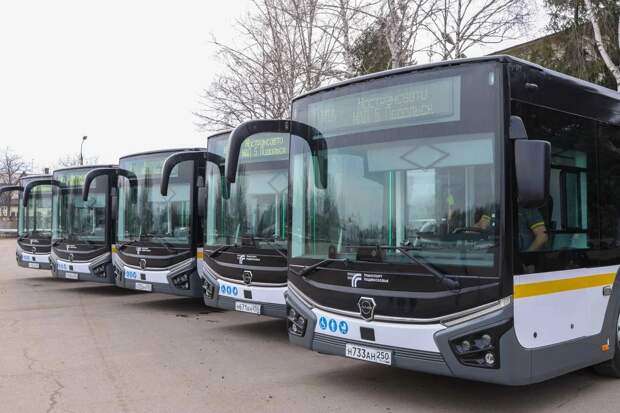 Мострансавто напоминает пассажирам о правилах перевозки домашних питомцев в автобусах предприятия