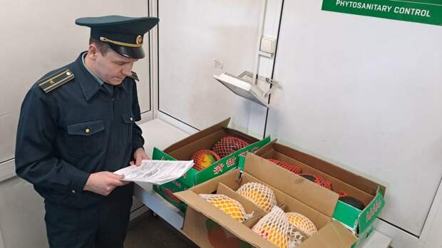 В Екатеринбург привезли арбузы и дыни из Китая