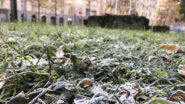 Доставайте валенки! В ряде регионов России прогнозируется аномальный холод