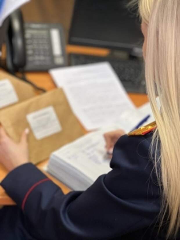 Глава ведомства поручил доложить о ходе расследования уголовного дела по факту совершения хулиганских действий подростками в Республике Карелия