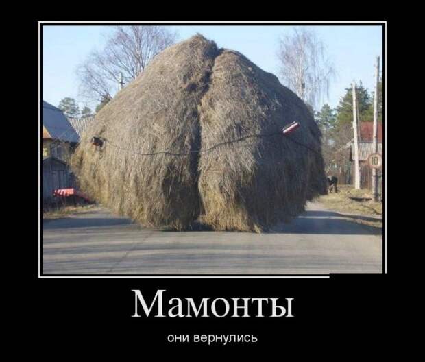 Демотиваторы
