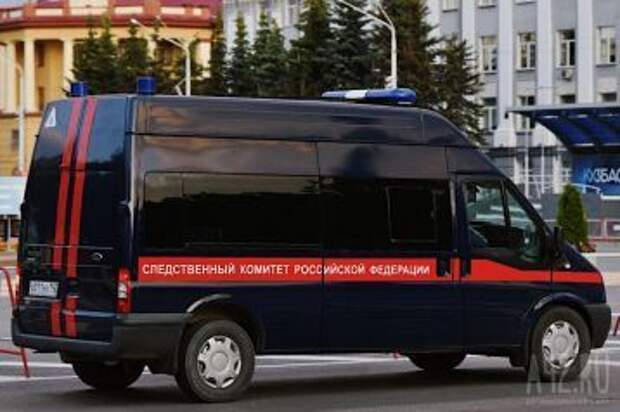 Фото: СК России взял под контроль проверку о нападении собаки на девочку в Кузбассе 1