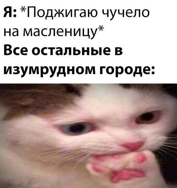www.vsyako.net