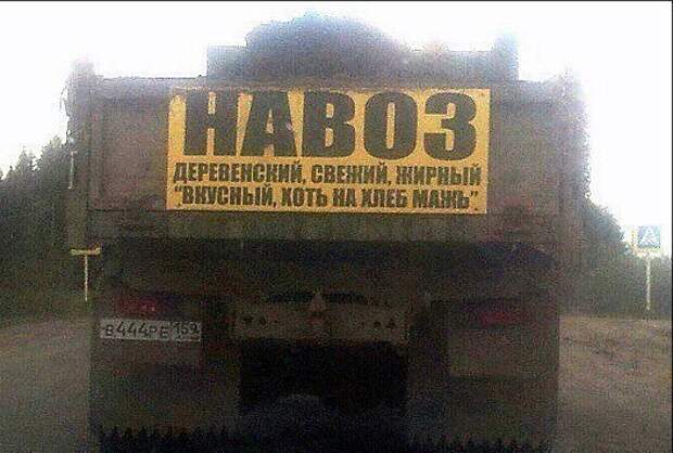 Смешные картинки с надписями прикол, юмор