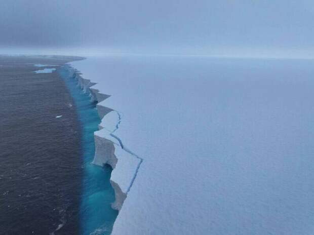 Равный по площади двум Петербургам айсберг растаял на 99%