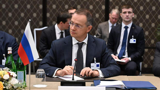 The Telegraph: Зеленский опасался жесткой позиции Мединского в Женеве