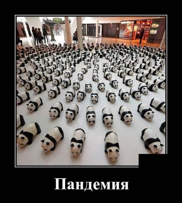 Демотиватор про панд