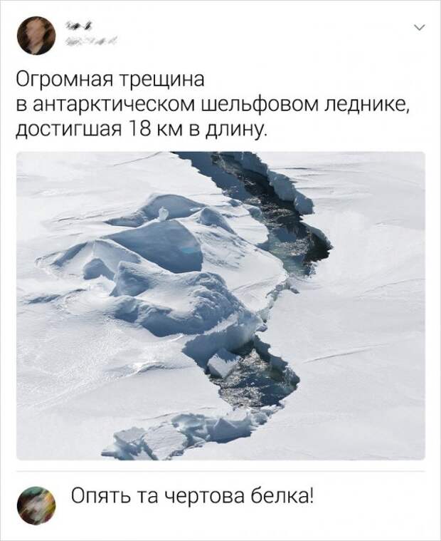 www.vsyako.net