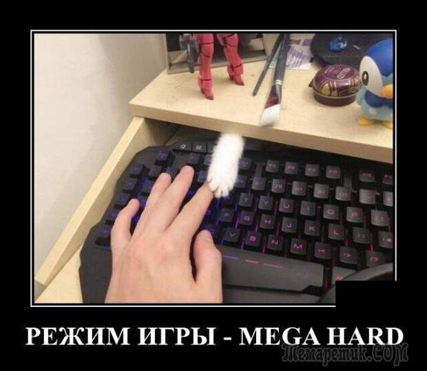Демотиваторы для настроения