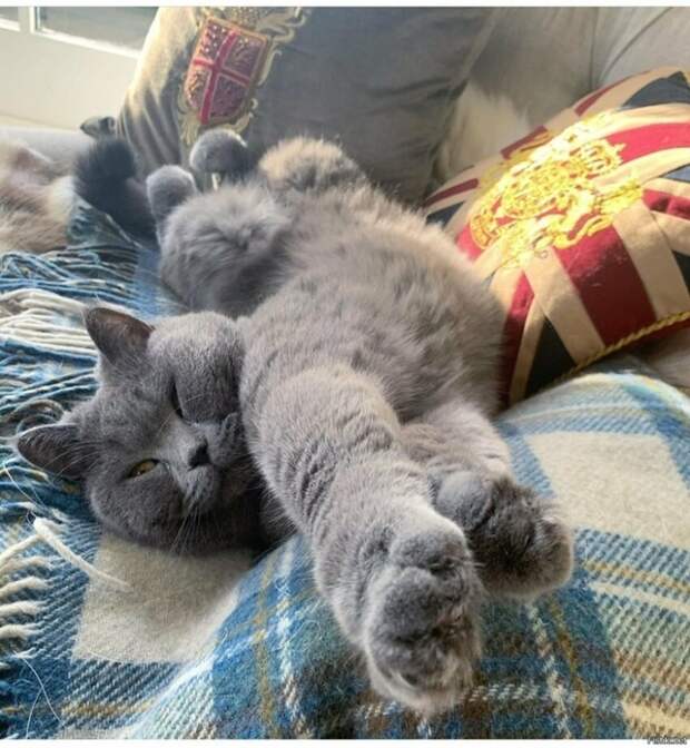 8854f2b4606265649862b744e5055cc0 (644x700, 317Kb)