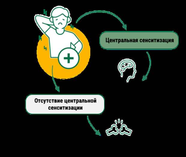 Алгоритм терапии хронической боли при наличии и отсутствии центральной сенситизации