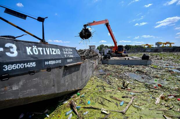 Венгры чистят реку Тиса
