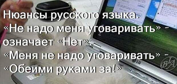 Картинки с надписями, открытки и скрины из коллекции Ч 5