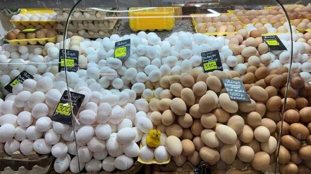 Еда не для бедных