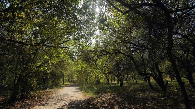 Мартын Лисогон. Почему 27 апреля мужу с женой нельзя стирать одежду вместе