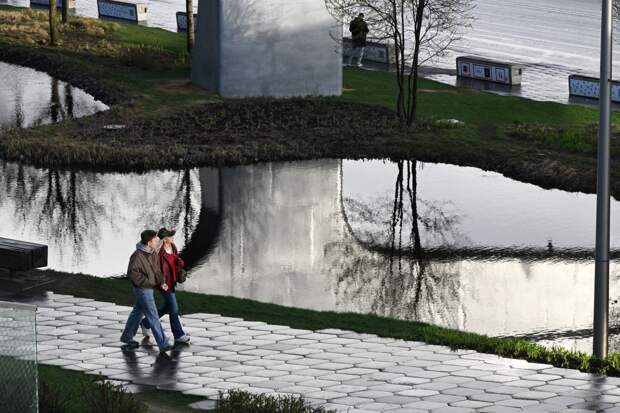 В Московский регион вернулись заморозки