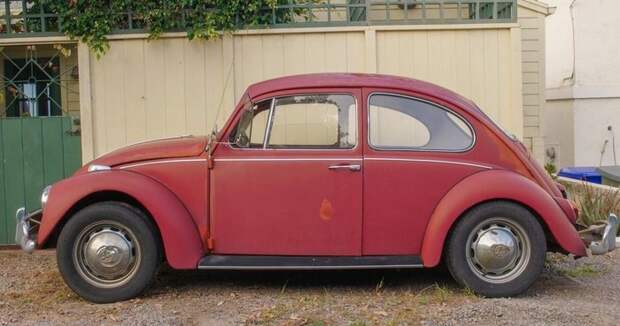 Volkswagen Beetle, который проехал 560 тысяч километров.