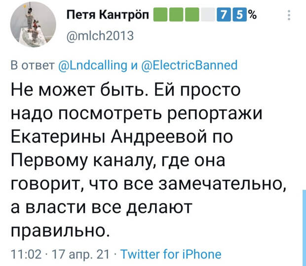 В соцсетях обвинили Андрееву в лицемерии из-за обвинения власти. «Вот и скажи это на ТВ»