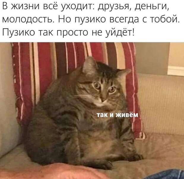 прикольные картинки ржачные (14)