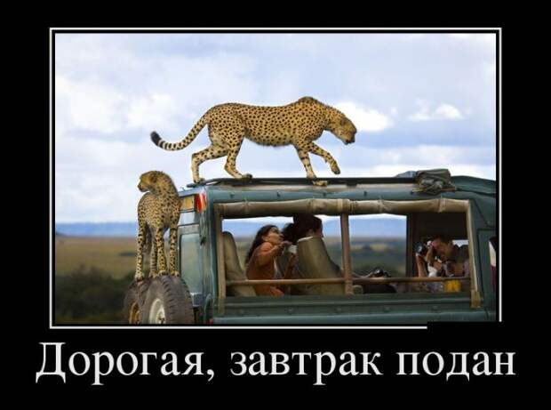 Демотиваторы (30 фото)
