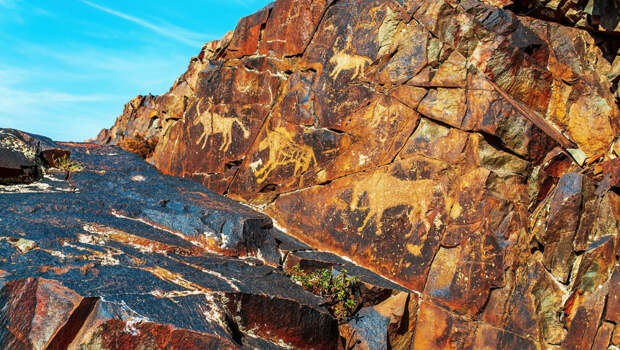 Открытие, которое держали в секрете: в Казахстане обнаружены петроглифы бронзового века.