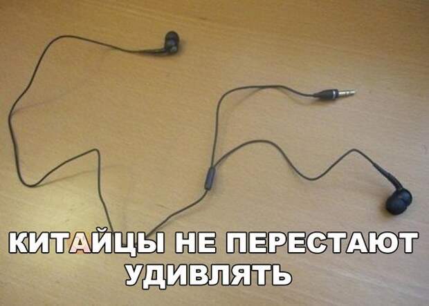 Веселые картинки с надписями про животных (11 фото) Веселые картинки с надписями про животных (11 фото)