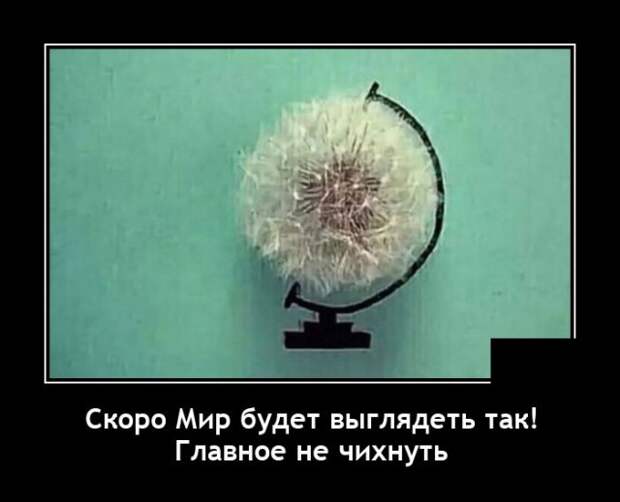 Демотиваторы гифки 17 мая 2021