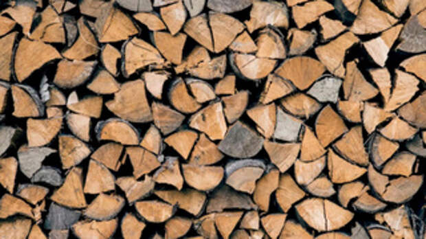 Семьям мобилизованных хотят выдавать древесину без очереди на Алтае