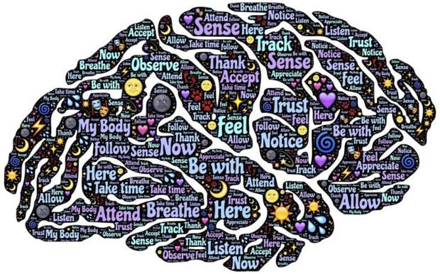 Мозг, мысли - Фото Pixabay