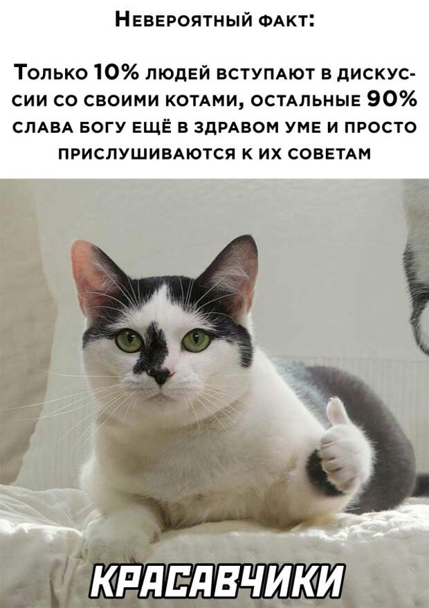 Смешные картинки вечер 2 августа 2021