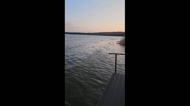 Нижняя Крынка https://t.me/webmoney_dn/316954Video: Видео от Донецкая группа новостей|Донецк.ДНР