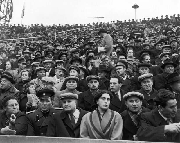 Стадион Динамо, 1955 год