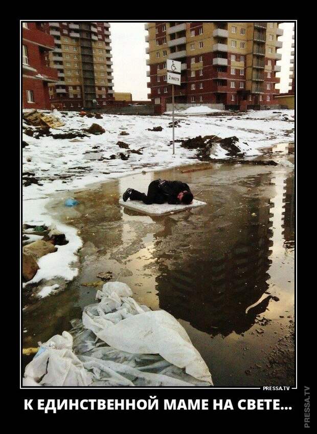 Демотиваторы