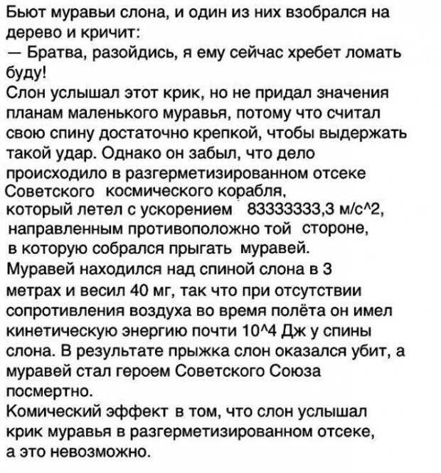 Картинки с надписями, истории и анекдоты