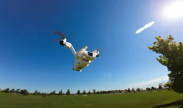 Французский политик: украинский конфликт превзошёл сюжет «Терминатора»