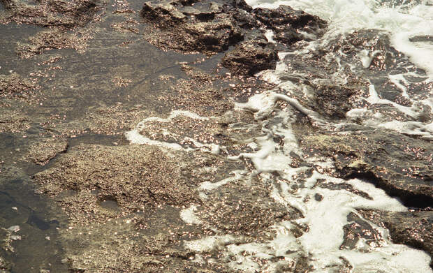 В Новосибирске обнаружили зловонную пену на реке Тула