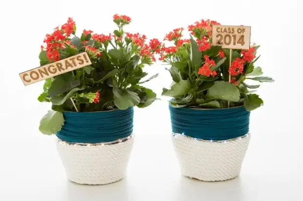 Оригинальные идеи из обычной веревки