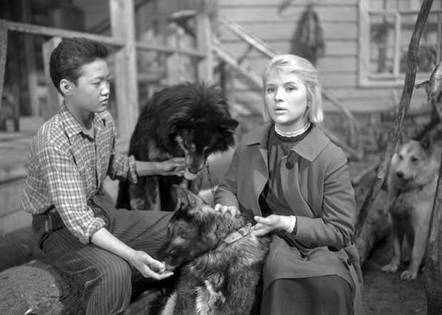 Кадр из фильма *Дикая собака Динго*, 1962 | Фото: kino-teatr.ru