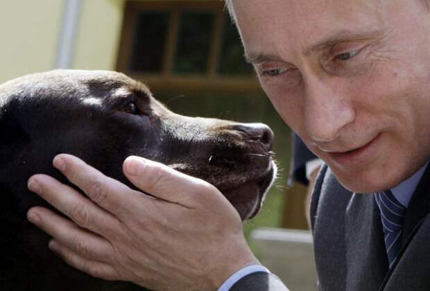 Жители США в восторге от президента Путина 85% республиканцев США считаю Путина хорошим лидеров