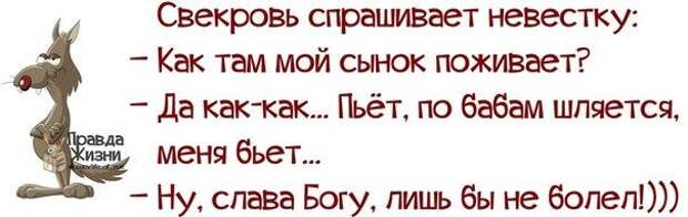 Свекровь спрашивает невестку: Как там мой сынок поживает?