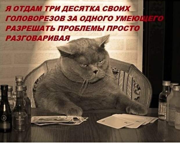 Картинки с надписями, истории и анекдоты