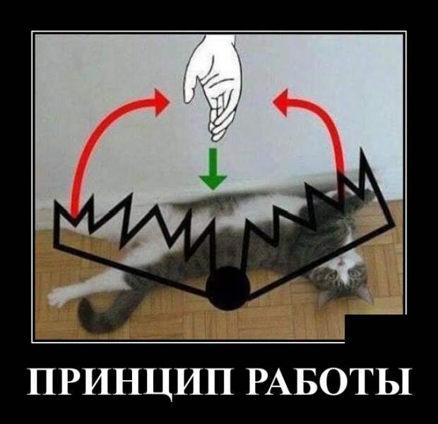 Демотиваторы (30 фото)