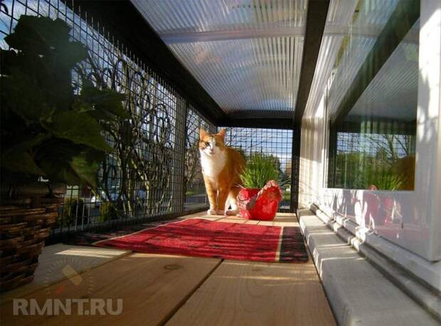 Вольер для кошки