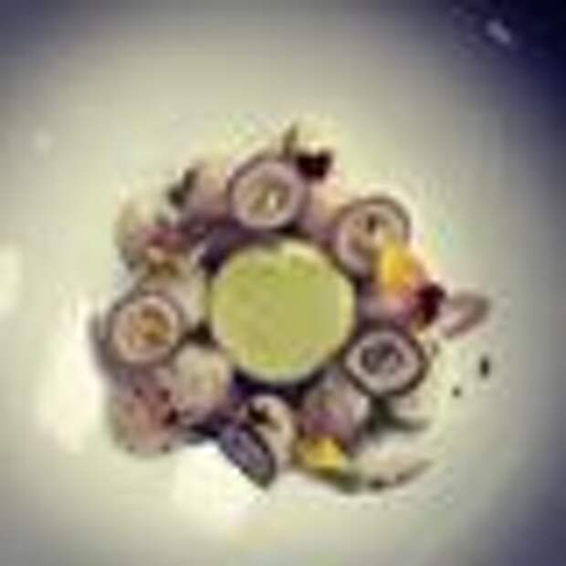 Coquito nut, scallop ceviche, and avocado custard.