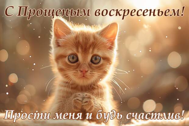 Священник Береговой: картинки к Прощеному воскресенью лишены духовной силы