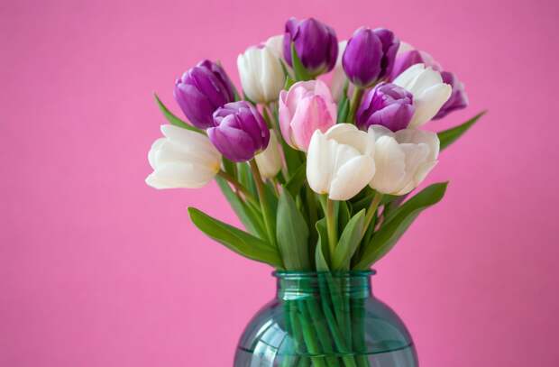 Почему тюльпаны быстро вянут в вазе: секрет, о котором знают флористы