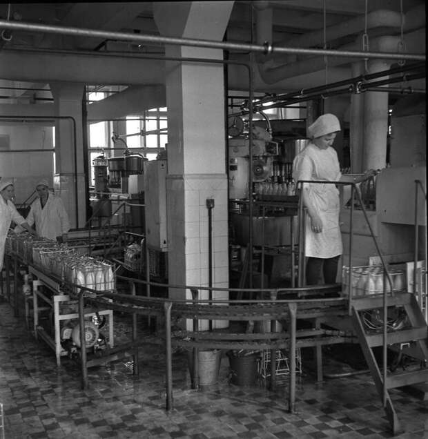 Перерабатывали 180 тонн молока в смену: фотоистория уссурийского молокозавода